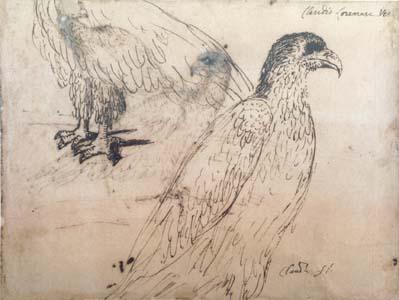Claude Lorrain Eagles (mk17)